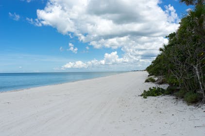 Barefoot Beach in North Naples, FL