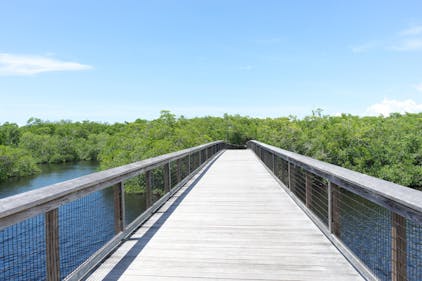 Bridge over the Gordon River at Gordon River Greenway